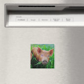 豚に草を噛む磁石 マグネット (インサイチュ (食洗機))