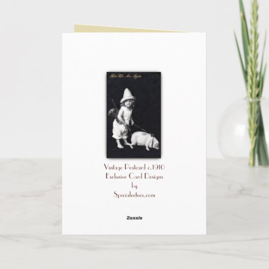 豚のようなおよびIのヴィンテージの写真撮影の挨拶状 カード (裏面)