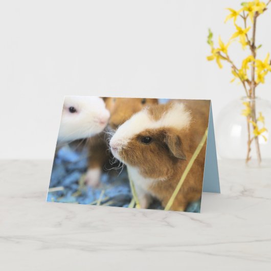 豚のよう カード (黄色い花)