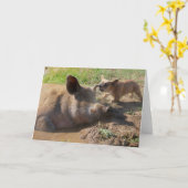 豚のイヤーグリーティングカード カード (黄色い花)