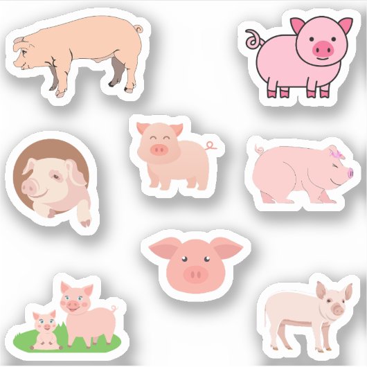 豚のシール シール (正面)