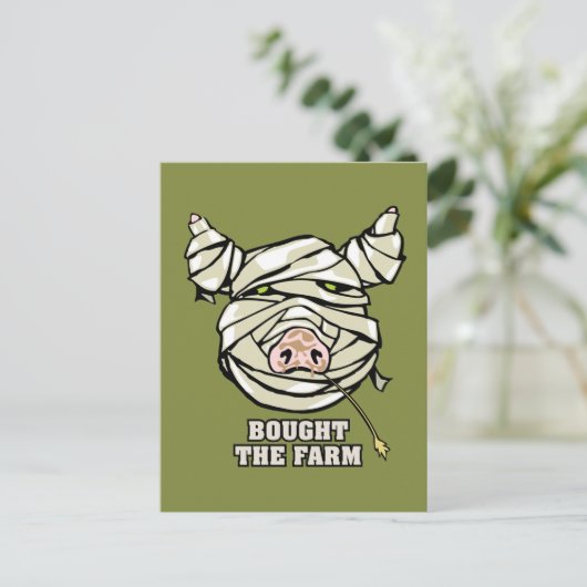 豚のミイラ ポストカード (スタンド正面)