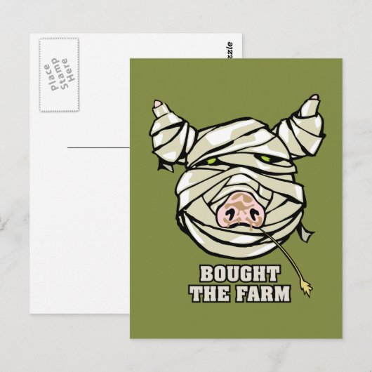 豚のミイラ ポストカード (正面/裏面)