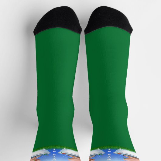 豚の入浴中 ソックス (上部)