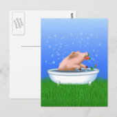 豚の入浴中 ポストカード (正面/裏面)