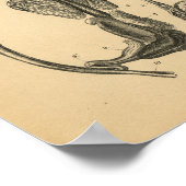 豚の内部解剖学1908ヴィンテージプリント ポスター (角)