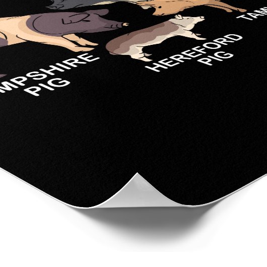 豚の品種ブタの恋人ギフト男性ファーム動物ブタ ポスター (角)