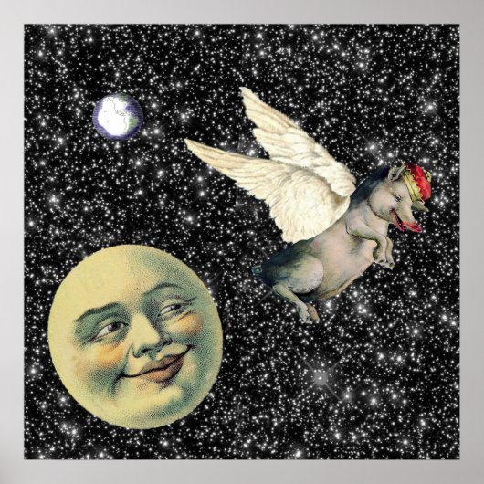 豚の夢 ポスター (正面)