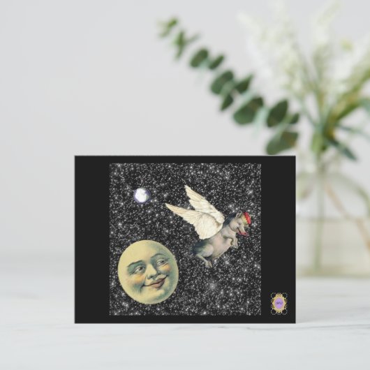 豚の夢 ポストカード (スタンド正面)