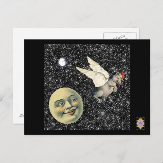 豚の夢 ポストカード (正面/裏面)