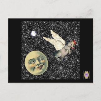 豚の夢 ポストカード