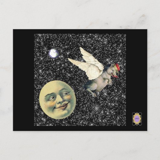 豚の夢 ポストカード (正面)