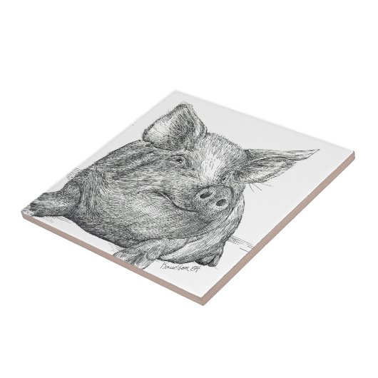 豚の子豚 タイル (側面)