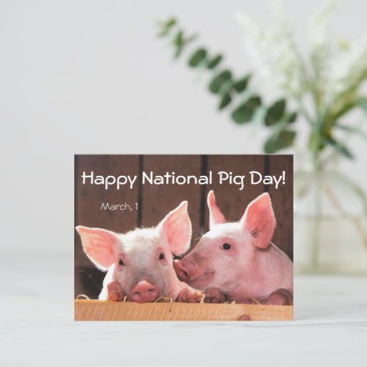 豚の日おめでとう！（3月1日） ポストカード (スタンド正面)
