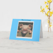 豚の笑みを浮かべて カード (黄色い花)