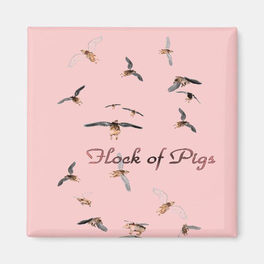 豚の群れ磁石 マグネット (正面)