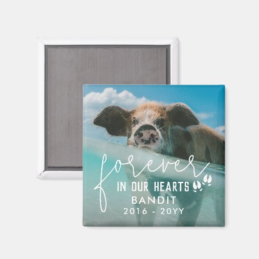 豚の足永遠に私たちのハート豚の写真 マグネット (正面/裏面)