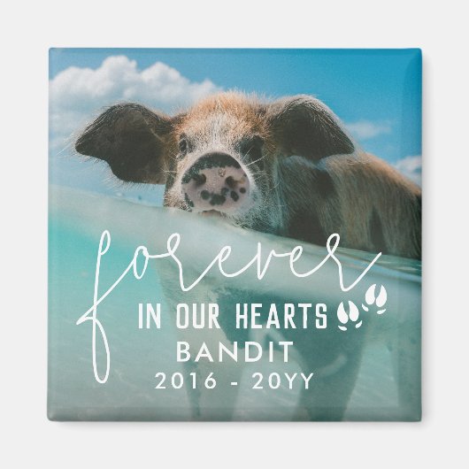 豚の足永遠に私たちのハート豚の写真 マグネット (正面)