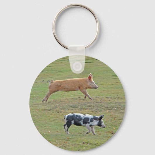 豚の飛ぶキーチェーン キーホルダー (正面)