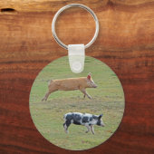 豚の飛ぶキーチェーン キーホルダー (正面)