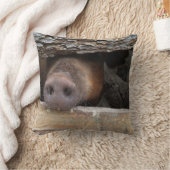 豚の鼻をフェンスから突き出素朴す クッション (ブランケット)