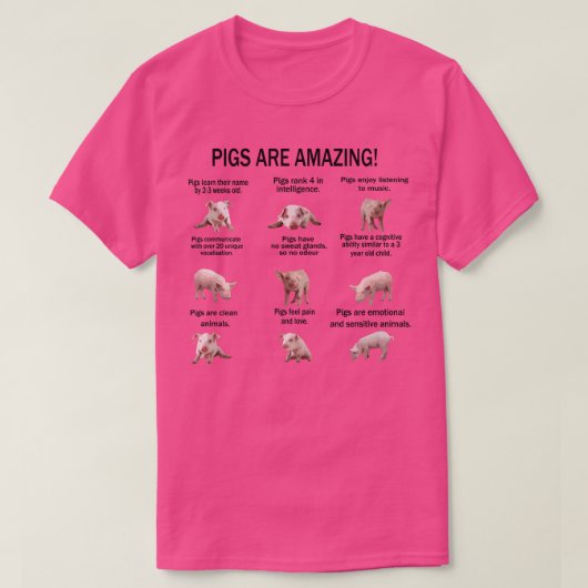 豚はかわいいカッコいい豚プレミアム Tシャツ (デザイン正面)