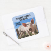 豚は食べ物ではない友人である – ビーガンのシール スクエアシール (封筒)