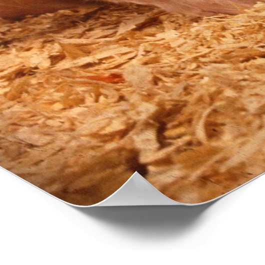 豚まき ポスター (角)