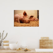 豚まき ポスター (キッチン)