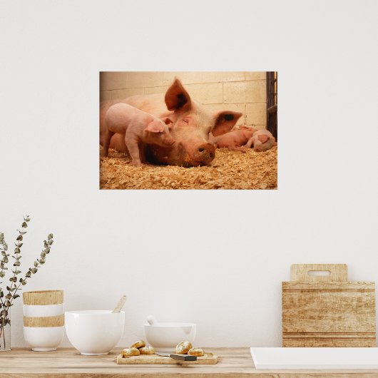 豚まき ポスター (キッチン)