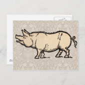 豚アンティークピギーかわいいヴィンテージイラストレーション ポストカード (正面/裏面)