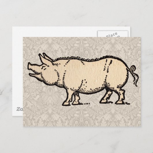 豚アンティークピギーかわいいヴィンテージイラストレーション ポストカード (正面/裏面)