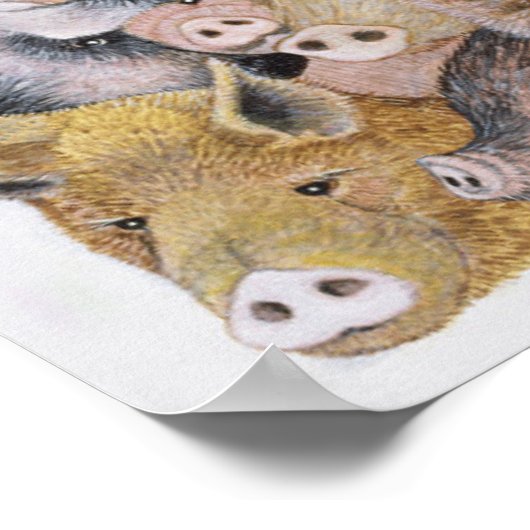 豚ガロア ポスター (角)