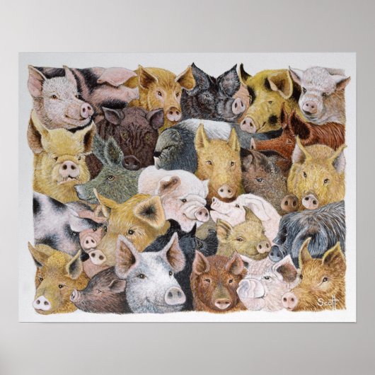 豚ガロア ポスター (正面)