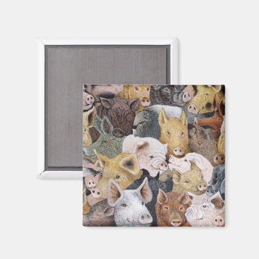 豚ガロア マグネット (正面/裏面)