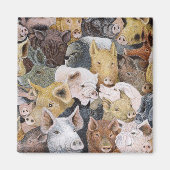 豚ガロア マグネット (正面)