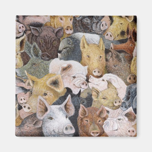 豚ガロア マグネット (正面)