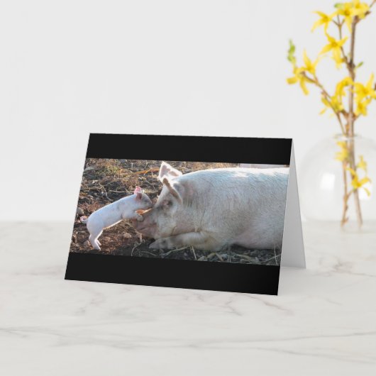 豚キスをする豚 カード (黄色い花)