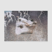 豚スカルグレーヴィンテージファームテクスチャの切り離し 薄葉紙 (正面)