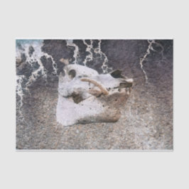 豚スカルグレーヴィンテージファームテクスチャの切り離し 薄葉紙