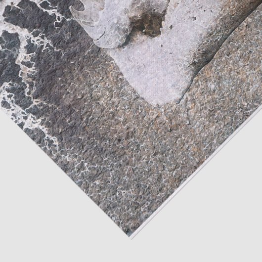 豚スカルグレーヴィンテージファームテクスチャの切り離し 薄葉紙 (詳細)