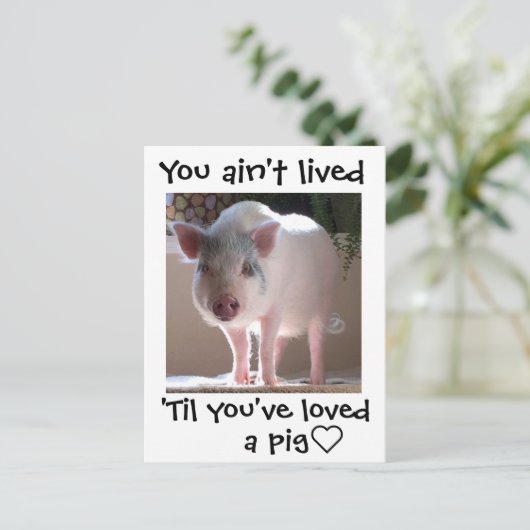 豚ロビン ポストカード (スタンド正面)