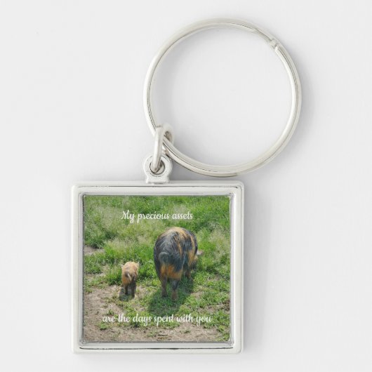 豚大切類 キーホルダー (正面)