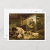 豚舎1794年検討している男の子(キャンバスの油) ポストカード (正面/裏面)
