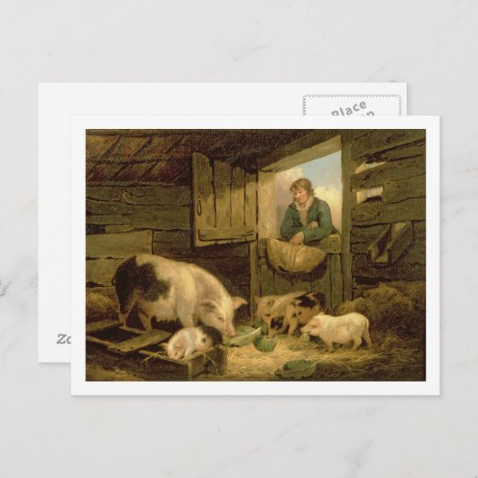 豚舎1794年検討している男の子(キャンバスの油) ポストカード (正面/裏面)