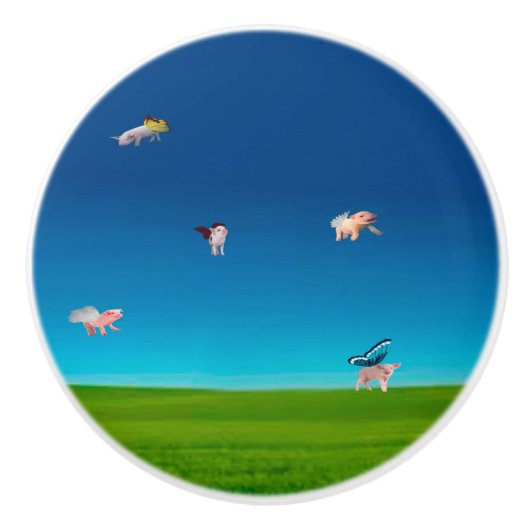 豚飛んでいるのノブ セラミックノブ (正面)