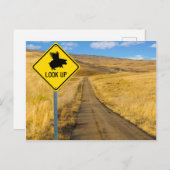 豚飛んでいる徴候 ポストカード (正面/裏面)