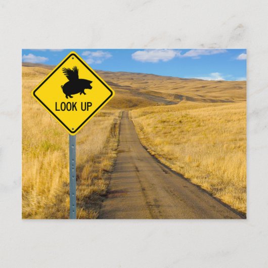 豚飛んでいる徴候 ポストカード (正面)