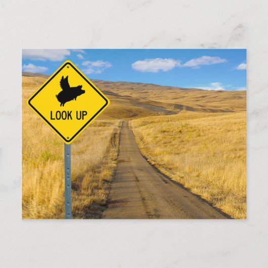 豚飛んでいる徴候 ポストカード (正面)