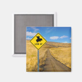 豚飛んでいる徴候 マグネット (正面/裏面)